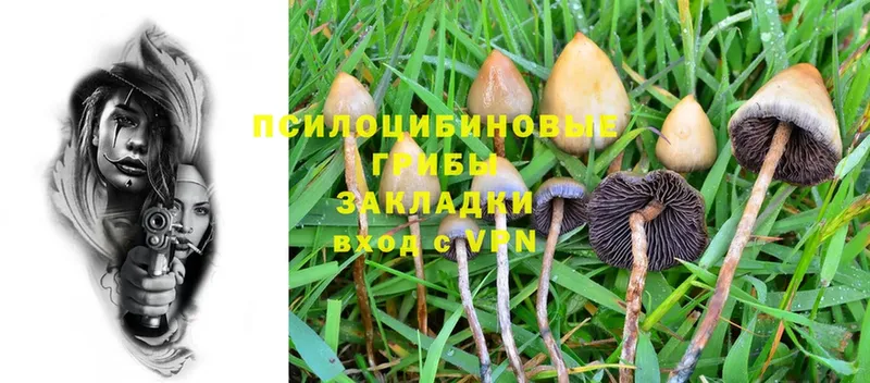 Псилоцибиновые грибы Psilocybe  hydra ONION  Игра 